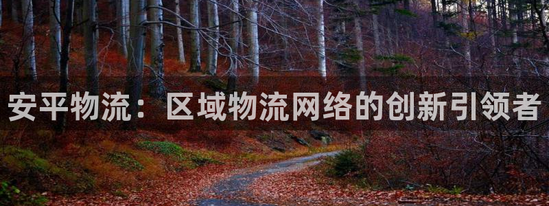 28圈登录不上咋回事:安平物流:区域