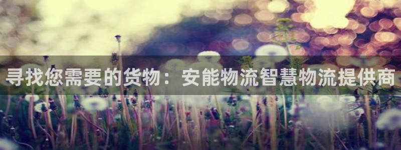 28圈游戏最新版