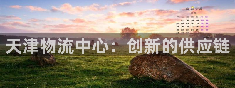 28圈黑款:天津物流中心:创新的供应