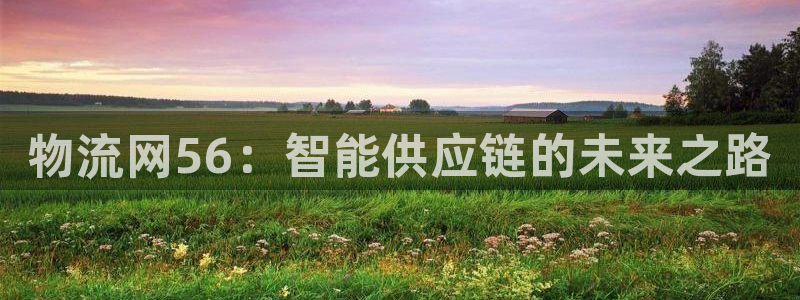 28圈充值不到账什么原因