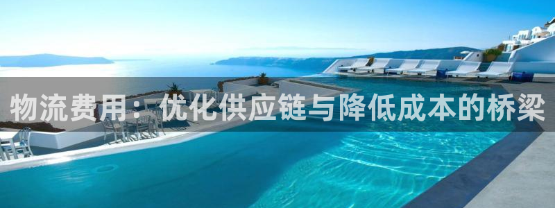 28圈怎么下载不了：物流费用：优化供