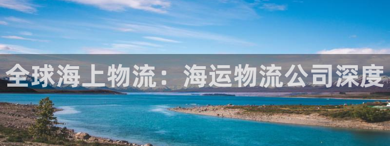 28圈连接：全球海上物流：海运物流公
