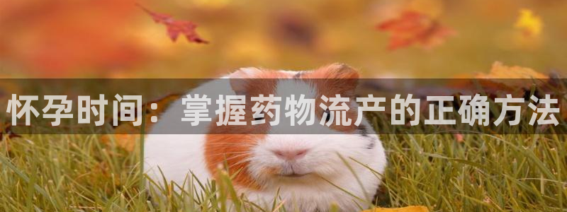 28圈.ccmpc29官网版下载：怀