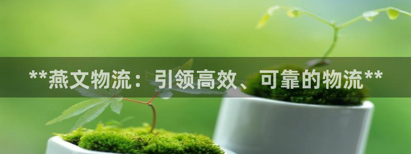 28圈注册限制怎么解除：**燕文物流