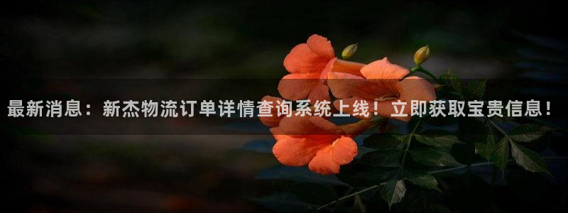 28圈下载不了：最新消息：新杰物流订