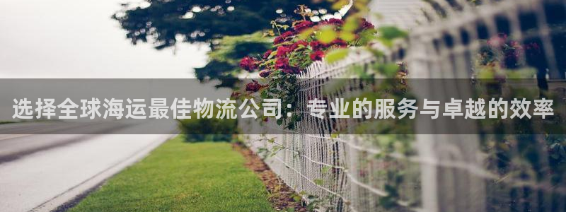 28圈不给提现：选择全球海运最佳物流