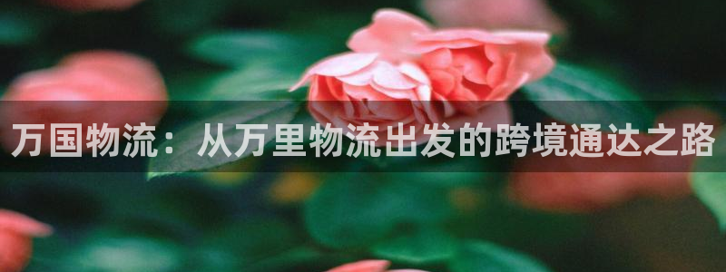 28圈官网链接：万国物流：从万里物流