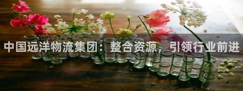 28圈激活码：中国远洋物流集团：整合