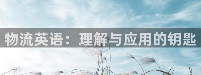 28圈流水怎么算：物流英语：理解与应