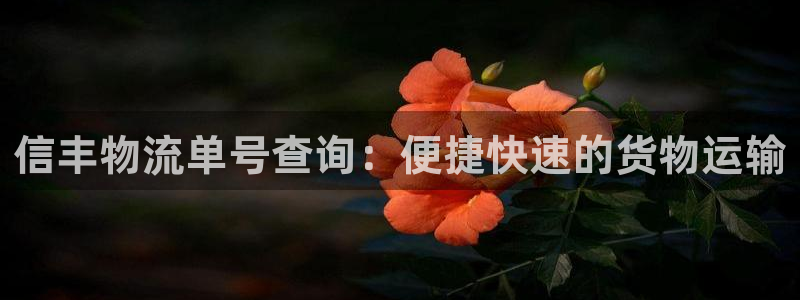 28圈注册网站多少钱一个：信丰物流单