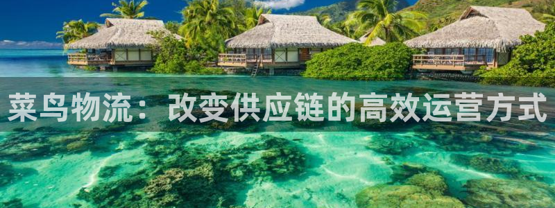 28圈怎么注册账号和密码：菜鸟物流：