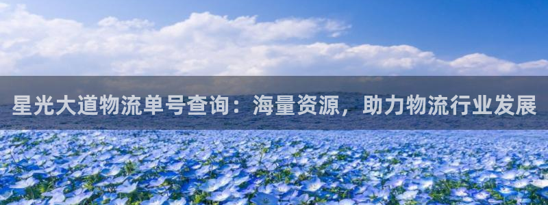 28圈是正规平台吗