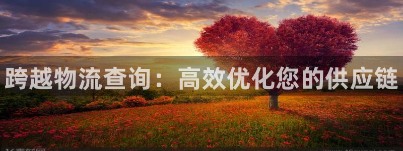 28圈机器人是什么软件