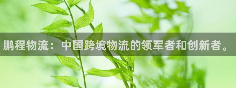 28圈推广链接是多少：鹏程物流：中国