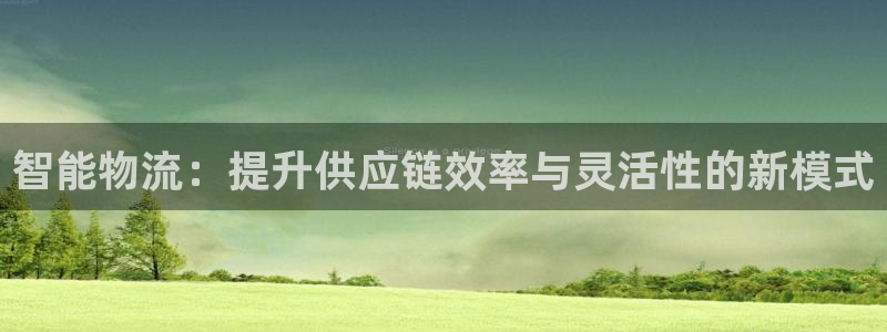 28圈辅助：智能物流：提升供应链效率
