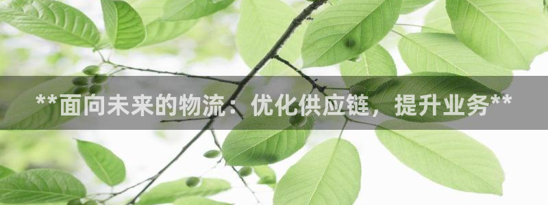 28圈加拿大下载：**面向未来的物流