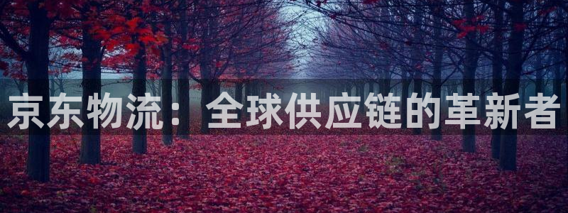 28圈软件是诈骗吗：京东物流：全球供
