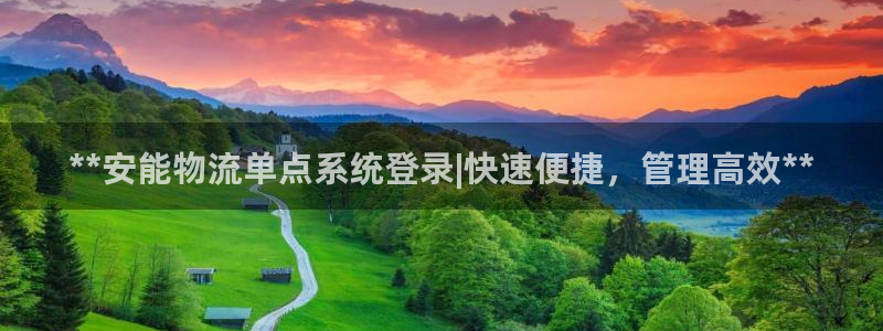 28圈娱乐官网网页：**安能物流单点