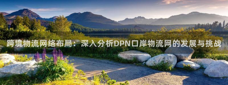 28圈cn：跨境物流网络布局：深入分