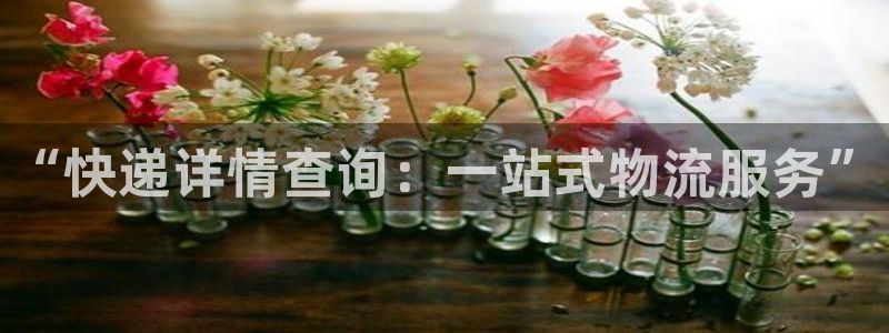 28圈加拿大下载：“快递详情查询：一
