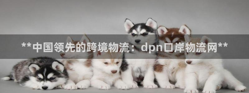 28圈网站怎么注册