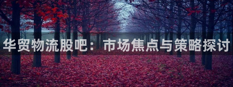 28圈入口问一问