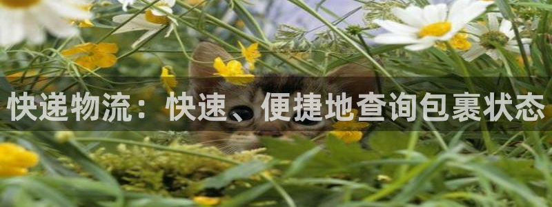 28圈注册网站多少钱