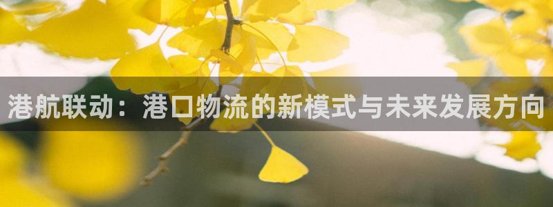 28圈怎么下载不了