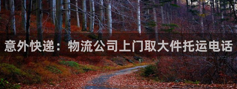 28圈怎么注册下载