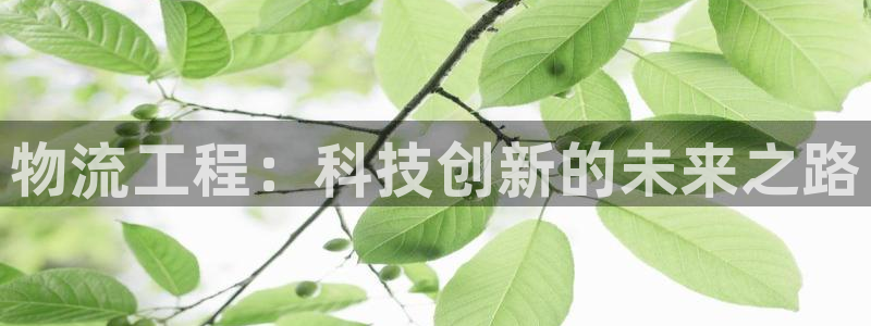 28圈注册网站加拿大