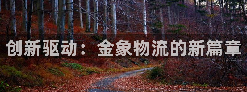 28圈可以退款吗