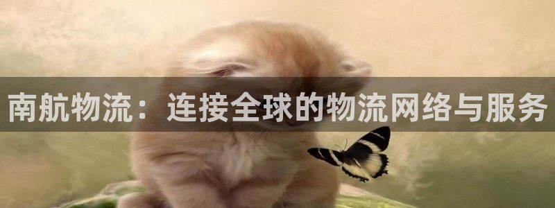 28圈怎么注册下载:南航物流:连接全