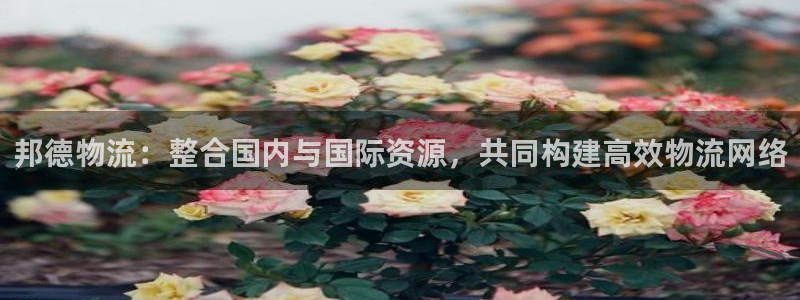 28圈黑平台吗：邦德物流：整合国内与